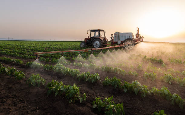 Best Affordable Pest Control Services  in Daniels Farm, CT