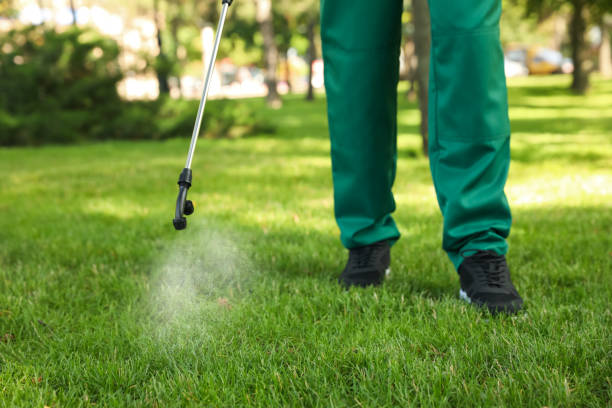 Best Emergency Pest Control  in Daniels Farm, CT