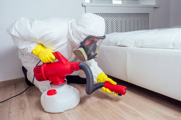 Best Pest Control Near Me  in Daniels Farm, CT
