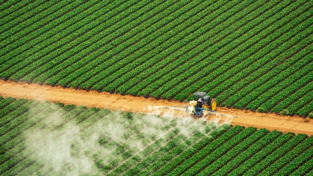 Reliable Daniels Farm, CT Pest Control Solutions