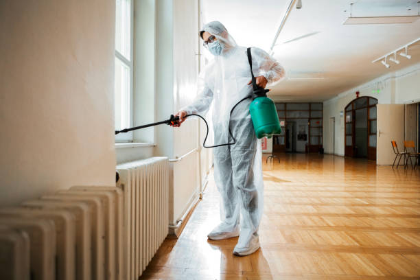 Best Wasp Removal Services  in Daniels Farm, CT