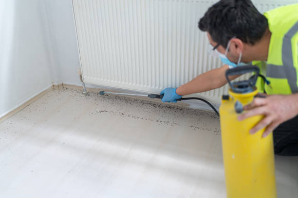 Best Best Pest Control Companies  in Daniels Farm, CT