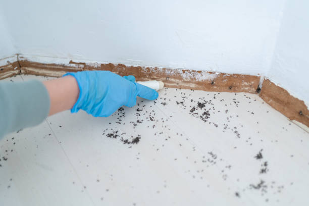Best Pest Inspection Near Me  in Daniels Farm, CT