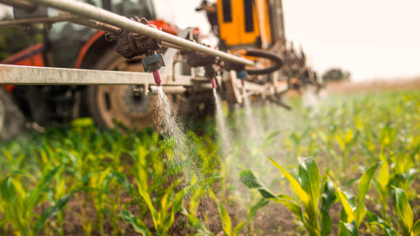 Insect Control in Daniels Farm, CT