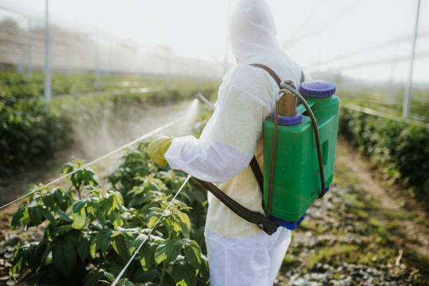 Best Bed Bug Extermination  in Daniels Farm, CT